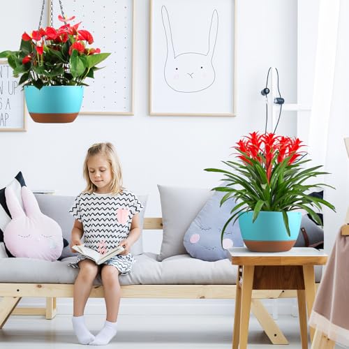 Set of 2 Hanging Planters for Indoor Outdoor Plants, 10 Inch Self-Watering Hanging Flower Pots with Drainage Hole & Removable Water-Storage Tray (Hooks) - color: Sky Blue, size: 10 Inch (M)