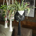 4 Pack Macrame Plant Hangers Indoor Up to 10 inch Pot, Boho Hanging Planters, Plant Holder with 8Pcs Stainless Steel Hooks(4Pcs Black Hanger) - color: 4pcs Black Hanger