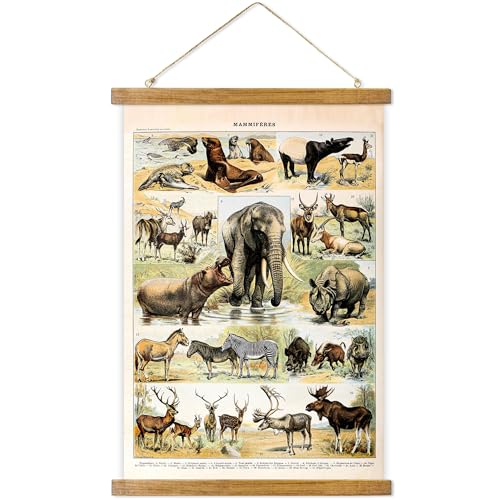 ABoby Vintage Illustrated Wildlife Chart Posters - Educational Animal Wall Art for Schools Homes - Retro Style Painting with Wood Frames - color: Wildlife