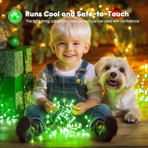 Brightown 12 Pack St. Patrick's Day LED Fairy Lights Battery Operated String Lights Waterproof Silver Wire 7 ft 20 LED Firefly Starry Moon Lights for DIY Wedding Party Bedroom Patio - color: Green, size: 12 Pack
