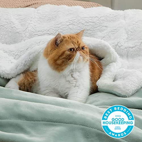 Bedsure GentleSoft Sherpa Fleece Throw Blanket for Couch, Non-Heated, Thick and Warm Throw for Women and Men, Soft Fuzzy Plush Blanket for Spring, Sage Green, 50x60 Inches - color: 04 - Sage Green, size: Throw (50" X 60")
