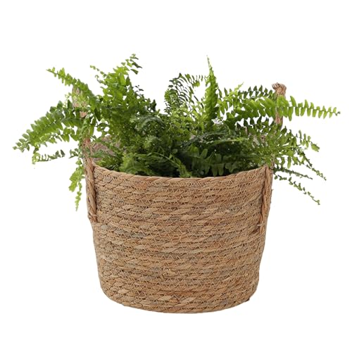 Woven Plant Basket - Straw Flowerpot, Decorative Holder with Handle, Indoor Outdoor Accessory with Stylish Design, Home Garden Tool for Balcony Yard Patio Pathway Lawn Display