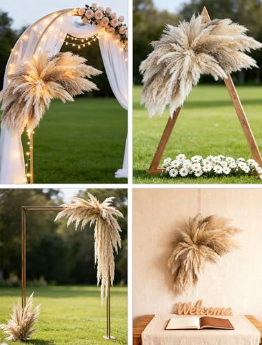 Fluffy Boho Wall Decor - DIY Pampas Grass Kits,Need to Assemble,Decorative Pampas Cloud,Mirror Decorative,for Entryway Bedroom Living Room Bathroom House Warming Gifts New Home Essential - size: Large