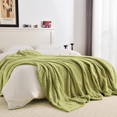PLEASANT BOULEVARD Fleece Throw Blanket for Couch with 3D Turtle Shell Jacquard Soft Blanket, Fuzzy Blanket for All Seasons 60x80 Inches, SAGEGREEN - color: Sagegreen, size: 60x80in