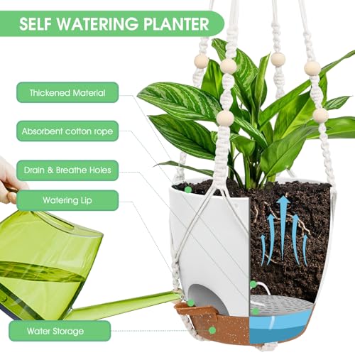 Vanslogreen Hanging Planters for Indoor Outdoor Plants, 2 Pack Self Watering Hanging Pots, Hanging Plant Baskets with Drainage Holes & 2 Types of Plant Hangers (Green, 6'') - color: Green+black, size: 6''