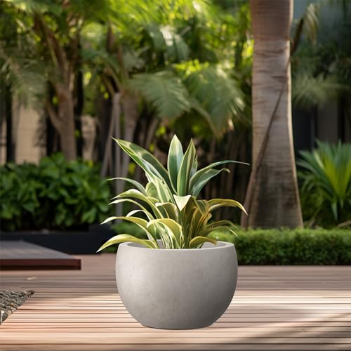 Kante 11.8" Dia Round Concrete Planter, Outdoor/Indoor Large Bowl Plant Pots with Drainage Hole and Rubber Plug for Garden Patio Balcony Home, Weathered Concrete - color: Weathered Concrete, size: 11.8" d