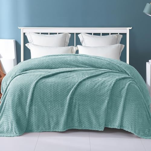 Exclusivo Mezcla Fleece Queen Size Blanket for Bed, 90x90 Inches Soft Cozy Jacquard Flannel Blankets, Lightweight Fuzzy Plush for Women, Celadon - color: Celadon, size: Queen ( 90x90 IN )