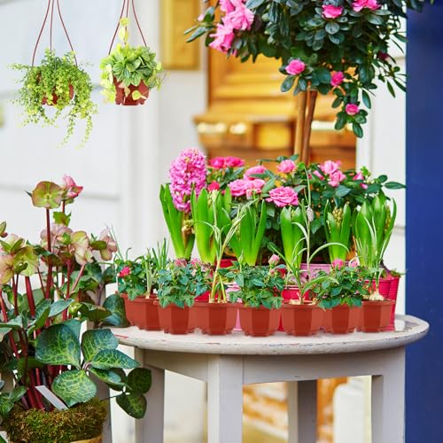 Roshtia 24 Pcs Hanging Plastic Planter Pot with Hook Flower Pots Baskets Hanging Nursery Planter Holder for Outdoor Indoor Plant Garden(Brown,3.7 Inch) - color: Brown, size: 3.7 Inch