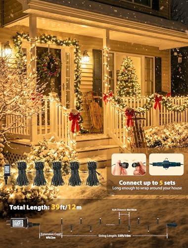 Hopolon String Lights Indoor Outdoor, 33 FT 100 LED Christmas Lights with Remote, Connectable Green Wire Twinkle Fairy Lights Plug in Waterproof for Wedding Party Patio Spring Decor (Warm White) - color: Warm White, size: 100 LED with Remote