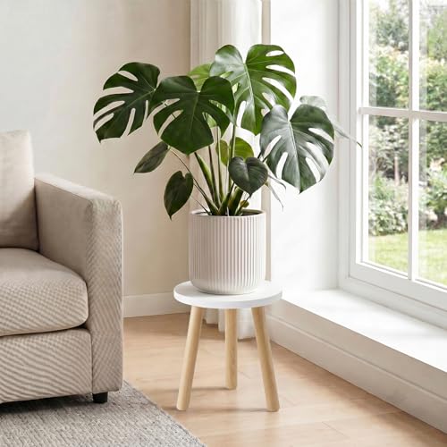 Wood Plant Stands Indoor, White Plant Stand Modern Plant Table for Large Plants, Wooden Plant Stool, Tall Plant Holder Small Round Side for Living Room, Balcony, Office (1 Pack) - color: White