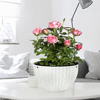 Foraineam 10.2 Inch Dual-pots Design Hanging Basket Planters Self-Watering Indoor Outdoor Hanging Flower Plant Pot with Drainer and Chain (White) (Pack of 3) - size: 10.2” (Pack of 3)