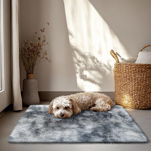 2x3 Fluffy Area Rugs for Bedroom Living Room,Small Soft Shag Fuzzy Rug Non-Shedding Indoor Plush Carpet for Kids Bedroom Nursery Dorm Home Decor,Tie-Dyed Black - color: Mottling Black, size: 2' x 3' (Rectangular)