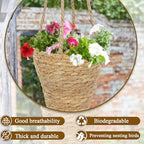 CITYES 2 Pcs Hanging Basket for Wall Conical Hanging Wicker Basket with Hemp Rope Handmade Wall Planter for Garden Home Flowers Planters Boho Decor Front Door Porch Entryway (Flowers Not Included)