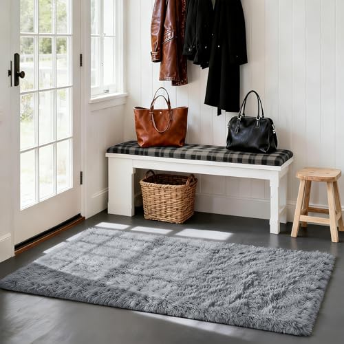 Fluffy Rug Shag Area Rug, Light Grey 2x4 Area Rugs for Bedroom, Small Bedside Rug, Soft Fluffy Shag Entryway Throw Rugs for Living Room Bedroom Room Home Decor - color: Light Grey, size: 2' x 4' (Rectangular)