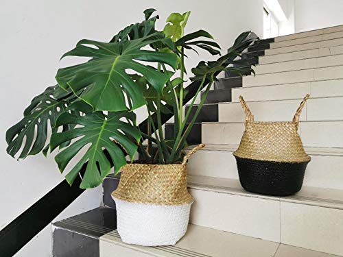 DOKOT Seagrass Belly Basket with Handles Natural Woven Planter Baskets for Indoor Plants Storage Laundry (Black 8 inch D x 9 inch H) - color: Black, size: M (8.3" D x 9" H)