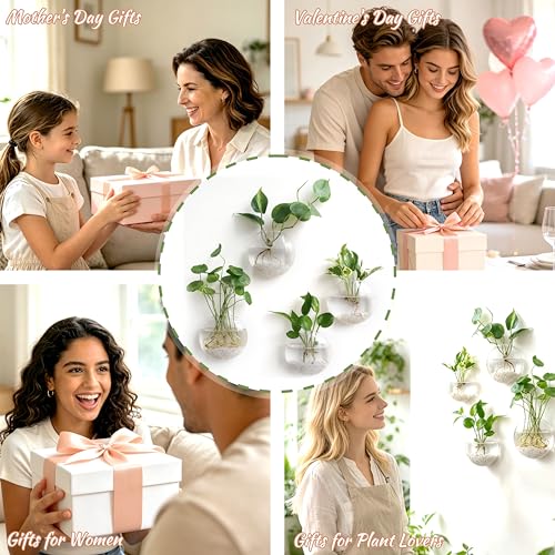 Mkono Wall Hanging Planter Propagation Station Glass Flower Vase for Hydroponics Plants, Bathroom, Home Office Living Room Decor Gift, Oblate Set of 4(Plants not Included)