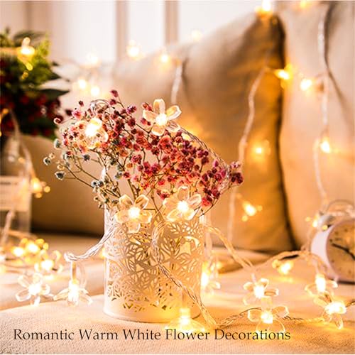 Indoor Plug in Decorative Fairy Flower String Lights, 33ft 100 LED Twinkle Cherry Blossom Floral Lamp for Bedroom Window Wall Ceiling Tree Hanging, Christmas Easter Birthday Decor (Warm White) - color: Warm White