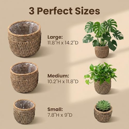 Seagrass Plant Basket Set of 3, Handwoven Woven Planter Baskets | Plastic Lined, Waterproof Liner, Natural Storage Basket, Home Decor