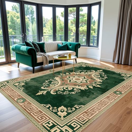 Modern Greek Key Texture Green and Brown Rug 2x3 Vintage Abstract Floral Rugs for Living Room Bedroom Nursery Classroom Guestroom Large Carpet Under Dining Table Soft Comfort Low Pile Mats - color: A, size: 2x3