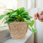 SHOWERORO Boho Seagrass Basket Planter with Handle 20cm Diameter Indoor Flower Pot for Succulent Plants Home Decor Retro Straw Woven Planter for Living Room