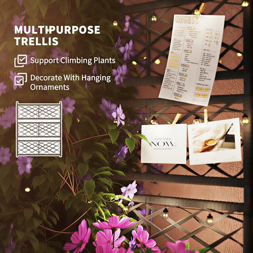 Outsunny Raised Garden Bed with Trellis, Outdoor Wicker Planter, Freestanding Rattan Planter Stand with Storage Shelf for Climbing Plants, Flowers, Herbs, Vegetables, Black - color: Black