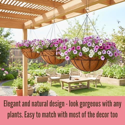 LaLaGreen Hanging Planter for Outdoor Plants (20 Inch, 2 Pack) Hanging Baskets with Coco Liner, Black Metal Wire Flower Basket Pots with Hook Hanger Balcony Porch Farmhouse Country Style Garden Decor - size: 20" x 2 Pack