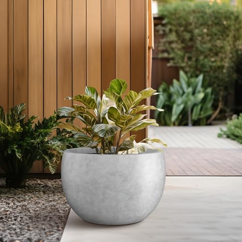 Kante 15.7" Dia Round Concrete Planter, Outdoor/Indoor Large Bowl Plant Pots with Drainage Hole and Rubber Plug for Garden Patio Balcony Home, Natural Concrete - color: Natural Concrete, size: 15.7" d