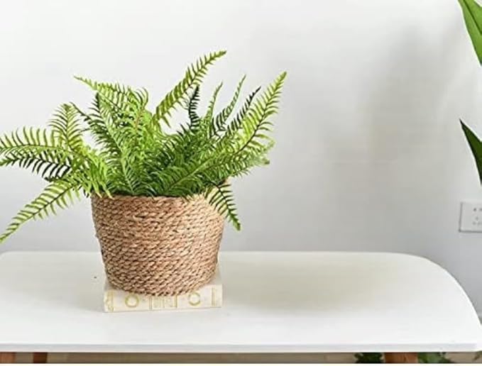 Seagrass Planter Basket Set With Plastic Lining Woven Storage Basket 7x6 In Indoor And Outdoor Plant Flowerpot Baskets Are Very Suitable For Flowerpot Covers. Natural Plant Containers (Large)