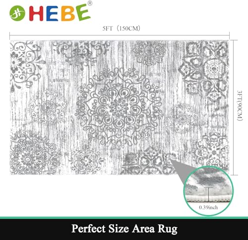 HEBE Area Rugs for Living Room 3'x5', Washable Non Slip Boho Entryway Rug, Soft Distressed Vintage Carpet for Bedroom, Dining Room, Kids Room, Nursery, Grey - color: Grey, size: 3' x 5' (Rectangular)