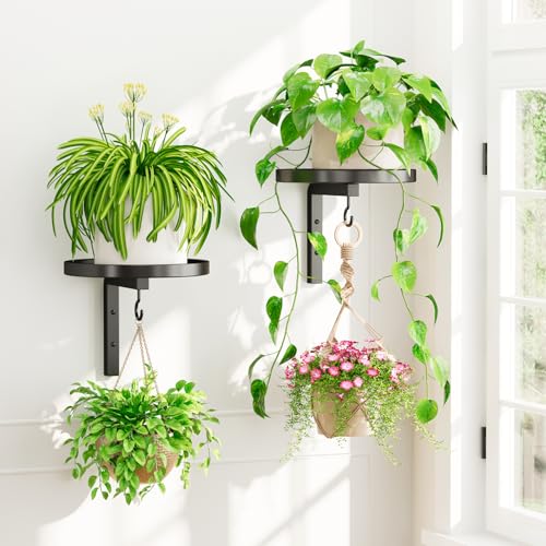 iDavosic.ly Wall Plant Holder Set of 2 for Indoor Outdoor, Metal Hanger with 2 Hooks, Floating Flower Display Stand for Window, Space Saving & Easy to Assemble (Pots/Chains/Plants Not Included), Black - color: Black, size: 2 Pack
