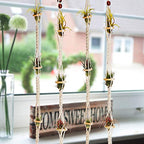 Shappy 4 Pieces Air Plants Holders Hanger Air Plant Wall Hanger Handmade Rope Hanging Plant Holder Woven with 4 Hooks for Home Decoration