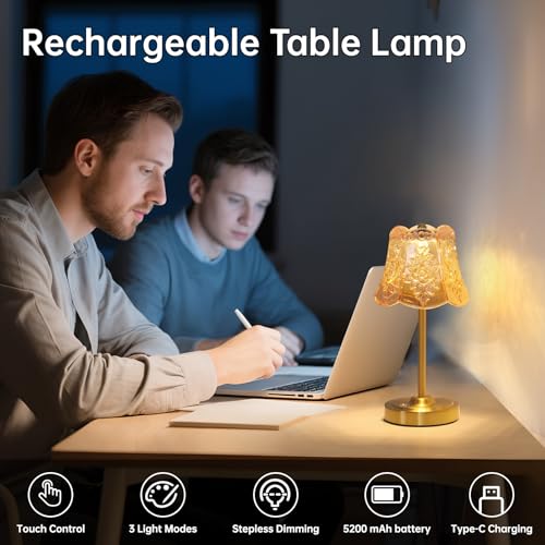 Shenmoyl Cordless Touch Table Lamp with 5200mAh Battery - 3 Adjustable Color Temperatures & Dimmable, Rechargeable Desk Lamp for Bedroom, Living Room, Office, Entryway, Bookshelves (Amber Rose) - color: Amber Rose
