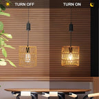 Livinlarge Battery Operated Chandelier,Hanging Rattan Pendant Lights with Timer,Gazebo Lights with Warm White Bulb,4*AA Battery Powered,for Pergola Porch Patio Outdoor Indoor Backyard Decor - style: Battery Hanging Light
