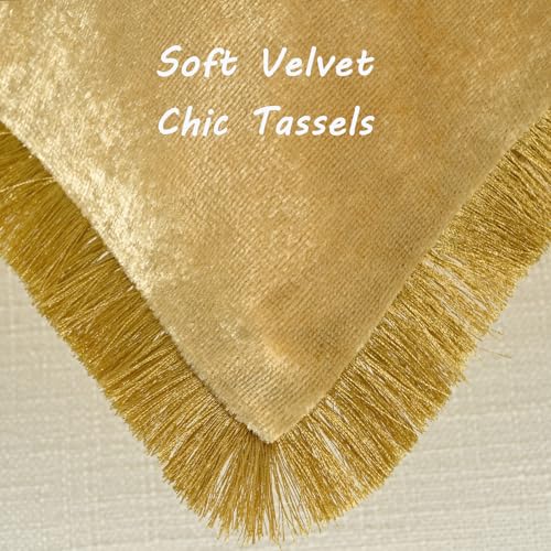 FUTEI Gold Velvet Decorative Throw Pillow Covers 16x16 Set of 2,Soft Cozy Edge with Tassels Cushion Case,Boho Modern Home Decor for Couch Bed Living Room - color: Gold, size: 16" x 16" (Pack of 2)