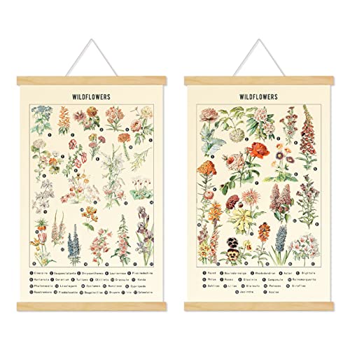 Chenkaiyang 2 Pcs Vintage Poster Hanging, Flowers Wall Hanging Botanical Rustic Retro Colorful Wall Art Prints Flower Chart Poster for Living Room Bedroom Office Play Room Decor,12.7 X 21.6 Inch - color: plants