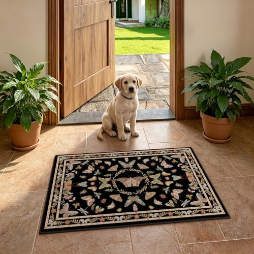Unirea 2x3 Small Black Washable Area Rug, Door Mat Indoor Entrance Insect Rug, Non Slip Thin Area Rugs, Soft Boho Bug Entryway Rug for Kitchen, Bathroom, Bedroom, Laundry Room, Low Pile Carpet - color: Black, size: 2'x3'
