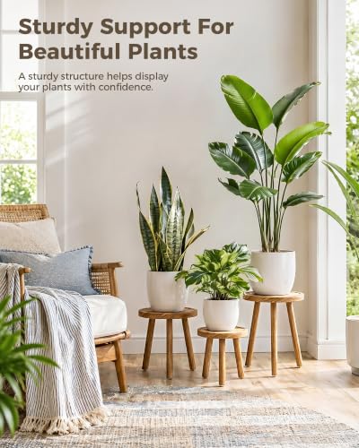 Bamworld 3 Pack Plant Stand Indoor Single Plant Stand for Multiple Plants Corner Plant Stool Wooden Plant Stands for Patio Garden Balcony Living Room Bedroom(Nature)