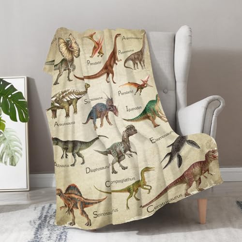 Aimego Dinosaur Blanket Gifts for Boys Kids Dino Jurassic World Educational Gifts for Toddler Dinosaur Lovers Children Baby Girls Birthday Christmas Throw Blankets 50"x60" - color: Dinosaur