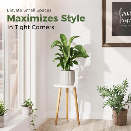 Leaf&lull Tall Plant Stand Indoor Small Plant Table for Large Plants Wooden Plant Stool Plant Holder for Living Room Bedroom Balcony White - color: white tall