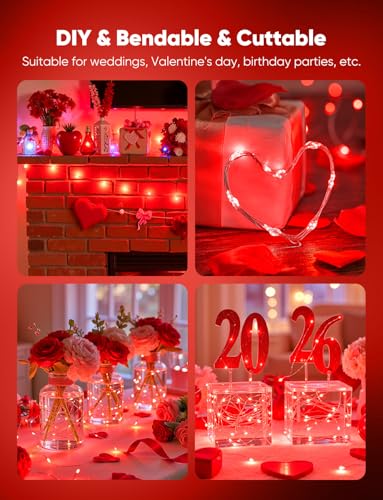 Brightown 12 Pack LED Fairy Lights, Waterproof, Red, 7 Feet, 20 LEDs, Battery Operated, Flexible Silver Wire, Safe, Energy Saving, Long-Lasting, Indoor and Outdoor Use - color: Red, size: 12 Pack