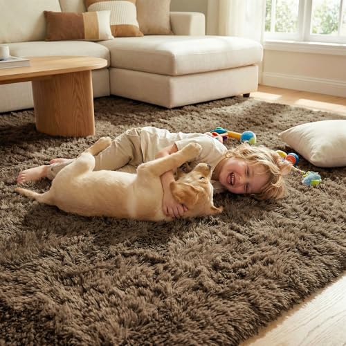 DweIke Fluffy Light Brown Rugs for Bedroom Living Room, 3x5 Feet Soft Plush Shaggy Light Brown Girls Boys Kids Rug, Non-Slip and Machine Washable Carpet for Dorm Nursery Classroom Decor - color: Light Brown, size: 3 Ft X 5 Ft