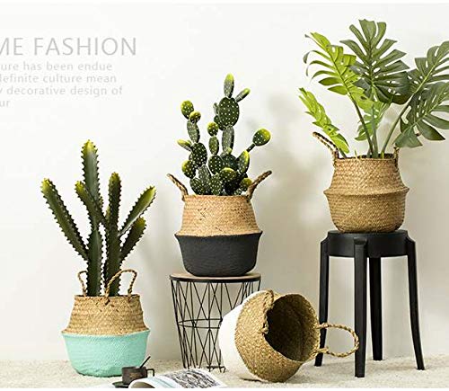 Seagrass Plant Basket with Handles Natural Woven Storage Baskets (Black 9 inch D x 11 inch H) - color: Black, size: L(9.5" D x 11" H)