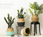 Seagrass Plant Basket with Handles Natural Woven Storage Baskets (Black 9 inch D x 11 inch H) - color: Black, size: L(9.5" D x 11" H)