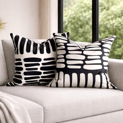 AYAY Decorative Modern Throw Pillow Covers 18x18 Set of 2 – Black and White Throw Pillows for Couch, Bed,Boho Throw Pillow Set, Printed Abstract Velvet Pillows, Washable Indoor Bedroom Pillowcases - color: Black/White Thick Lines
