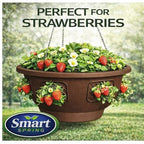 Ultimate Hanging Baskets - Strawberry, Tomato, Flower, and Herb Outdoor Planters - Use Garden Pots for Growing Plants Outside On A Deck, Fence, or Balcony (Mocha 2pk) - color: Mocha