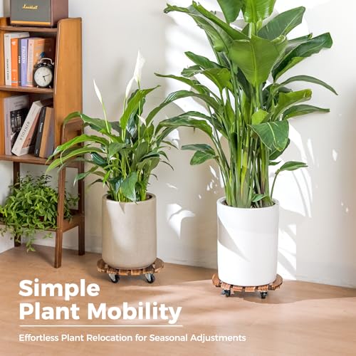Bamworld Plant Stand with Wheels Plant Caddy Outdoor 4 Pack 12in Rolling Planter Caddy with Swiveling and Lockable Caster for Indoor Patio Plant Dolly Wood Wheeled Mobile Roller - size: 12inch-4 pack