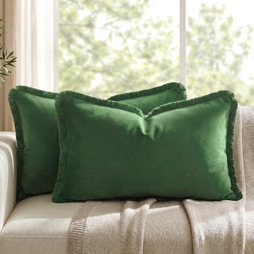 HOMEIDEAS Olive Green Velvet Throw Pillow Covers 20x12 Set of 2, Luxury Decorative Pillow Covers with Short Fringe Tassels, Modern Farmhouse Boho Cushion Covers for Sofa Couch Bed Neutral Home Decor - color: Olive Green, size: 20" x 12" (Pack of 2)