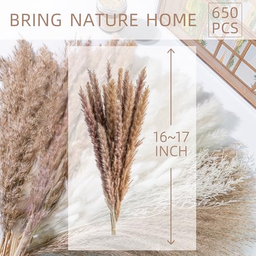 650PCS Natural Dried Pampas Grass Boho Home Decor Bouquet Phragmites Dried Flowers Bouquet for Wedding Floral Arrangements Home Decorations (650PCS) - size: 650PCS