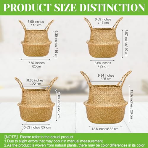 Qunclay 4 Pcs Woven Seagrass Baskets Belly Basket Folding Boho Natural Plant Pot with Handles Round Decorative Wicker Large Indoor Planter for Home Outdoor Tree Planters Decor (Xs,S,M,L) - size: XS,S,M,L