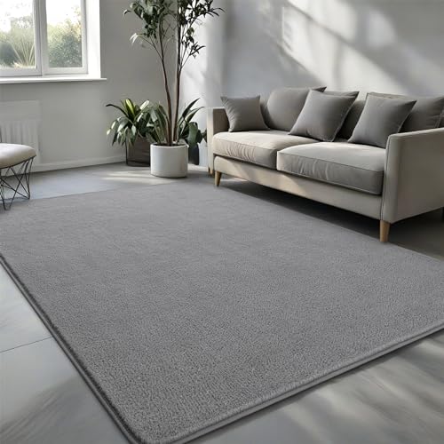 Pettop 4x6 ft Grey Area Rugs for Bedroom Living Room, Washable Memory Foam Indoor Carpet, Modern Aesthetic Minimalist Non Slip Soft Comfy Carpet for Boys Girls Dorm Home Decor - color: Grey, size: 4' X 6' (Rectangular)